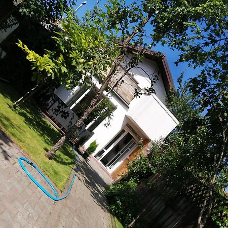 브라쇼브 Casa Scheiana B&B 외부 사진