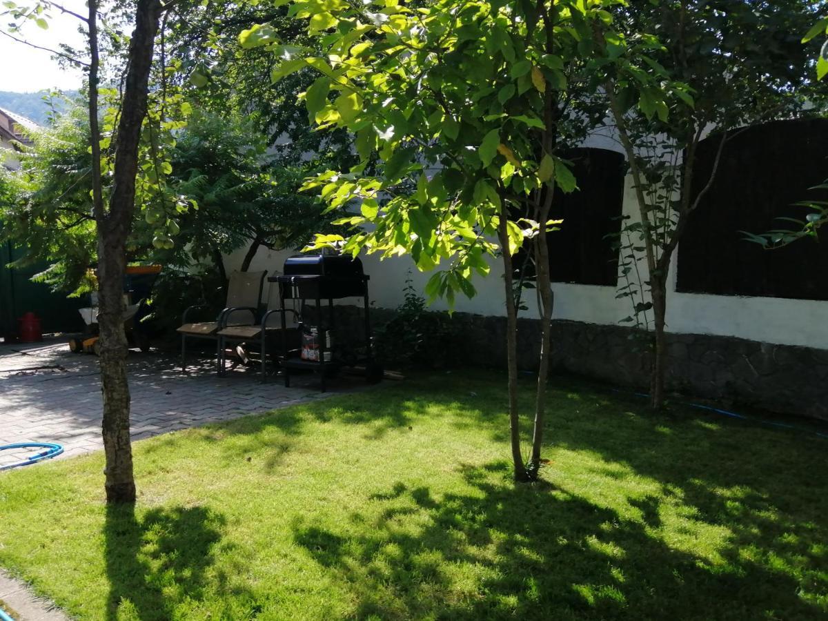 브라쇼브 Casa Scheiana B&B 외부 사진