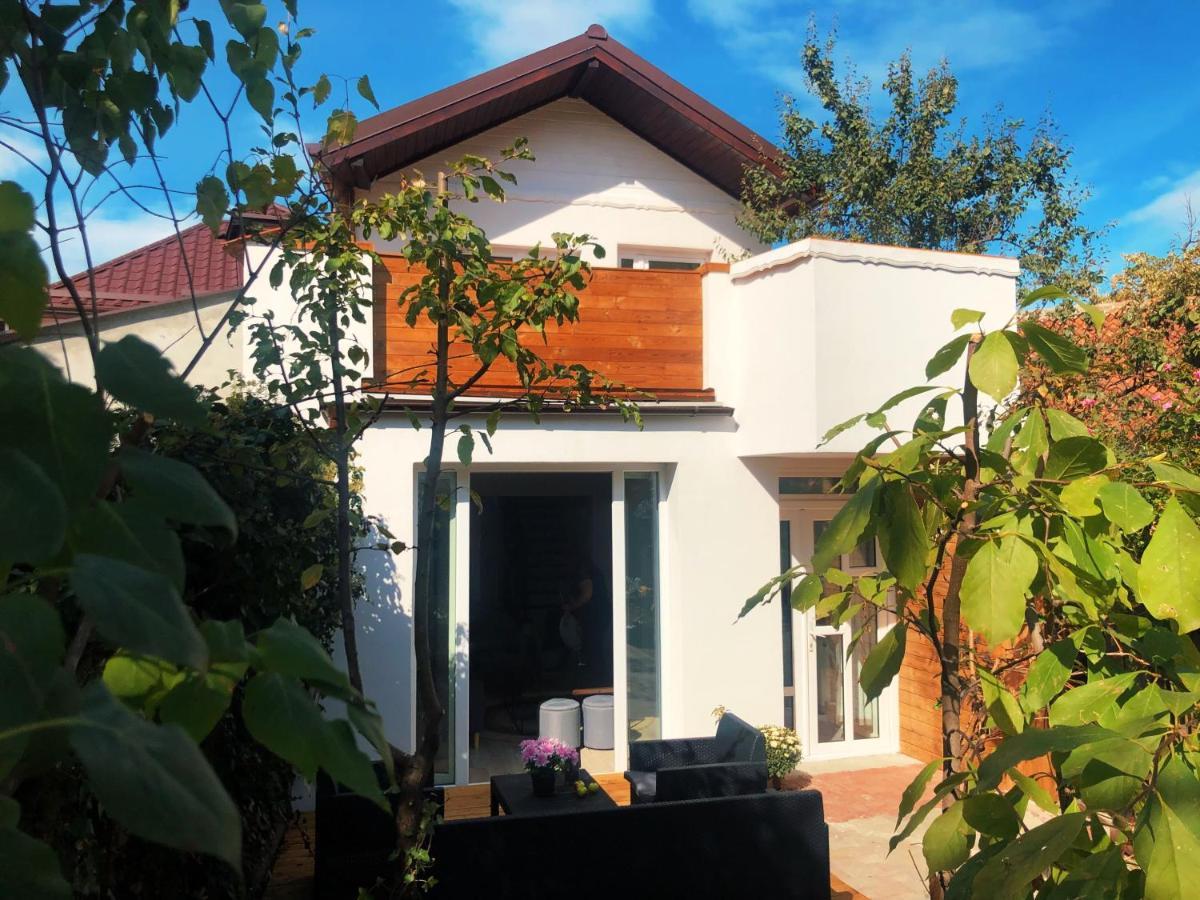 브라쇼브 Casa Scheiana B&B 외부 사진