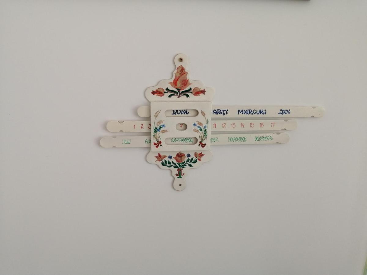 브라쇼브 Casa Scheiana B&B 외부 사진
