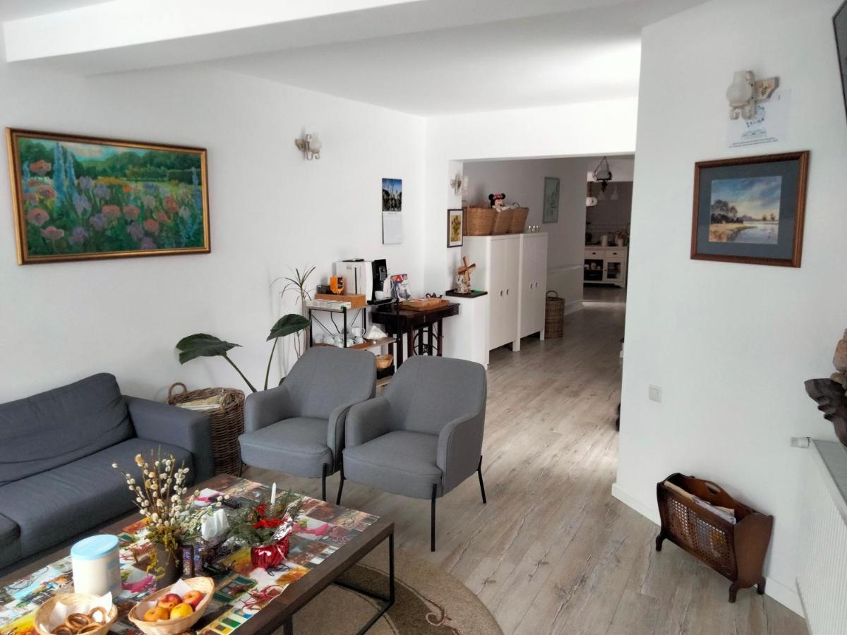 브라쇼브 Casa Scheiana B&B 외부 사진
