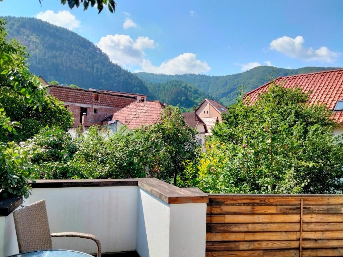 브라쇼브 Casa Scheiana B&B 외부 사진