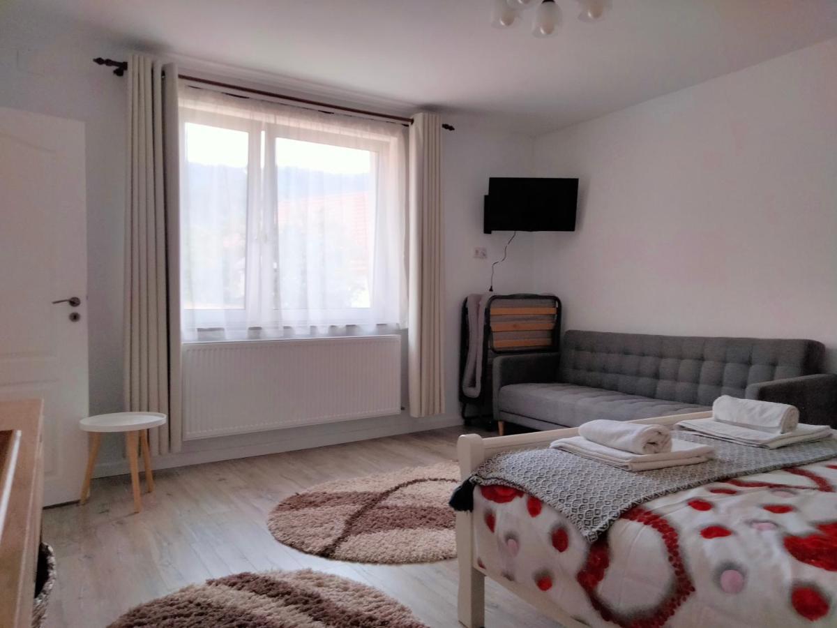 브라쇼브 Casa Scheiana B&B 외부 사진
