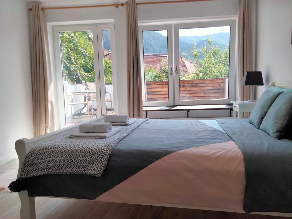 브라쇼브 Casa Scheiana B&B 외부 사진