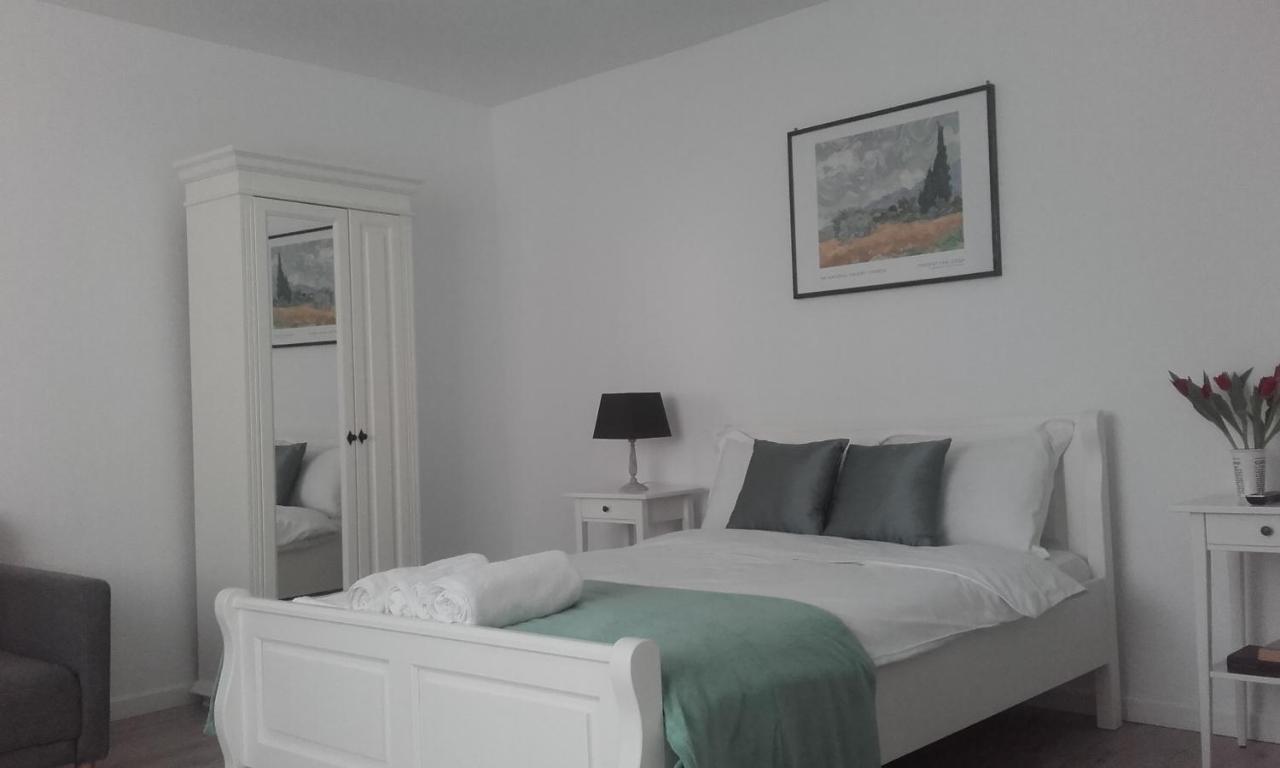 브라쇼브 Casa Scheiana B&B 외부 사진